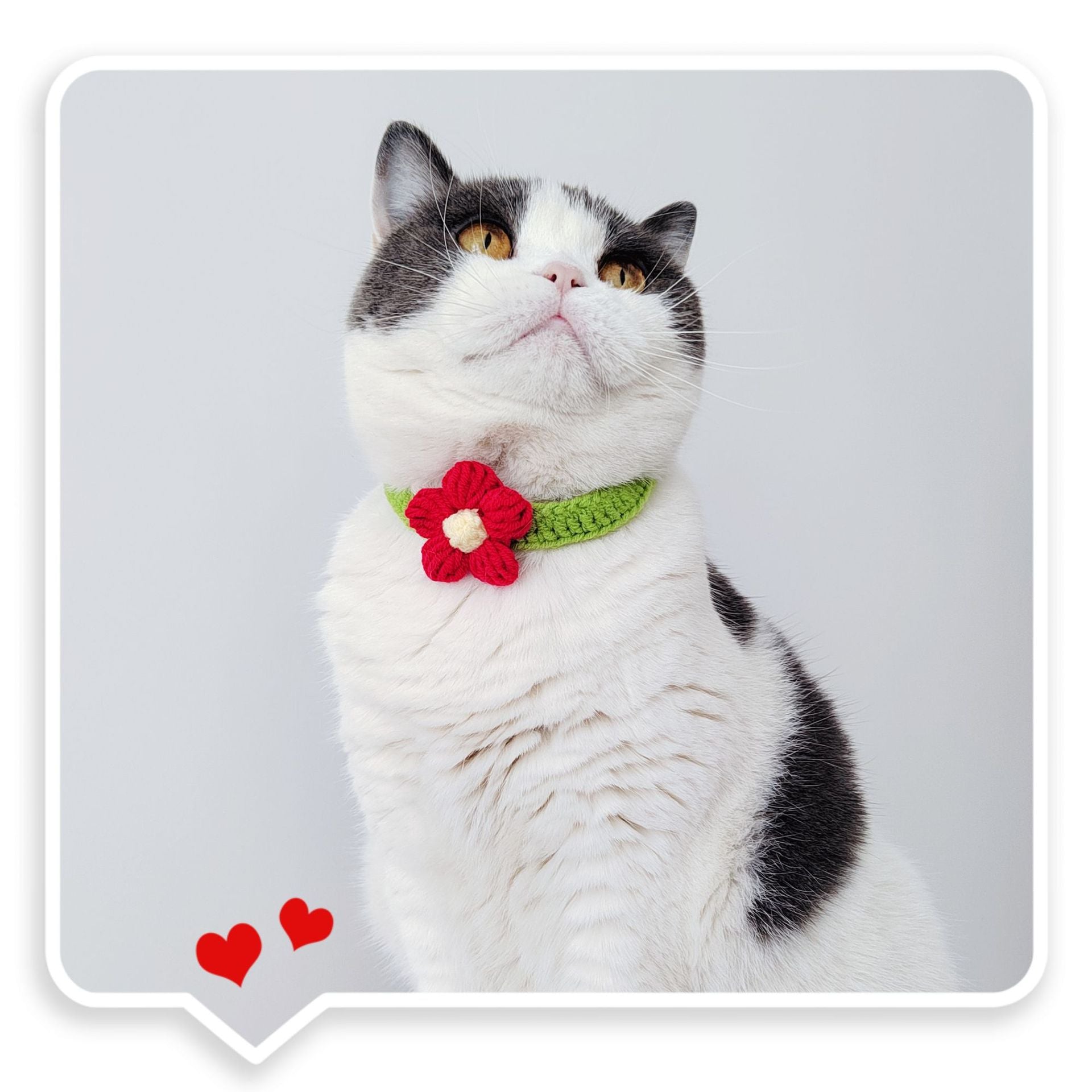 Minimal Flower Crochet Pet Collar – Cute Everyday Style