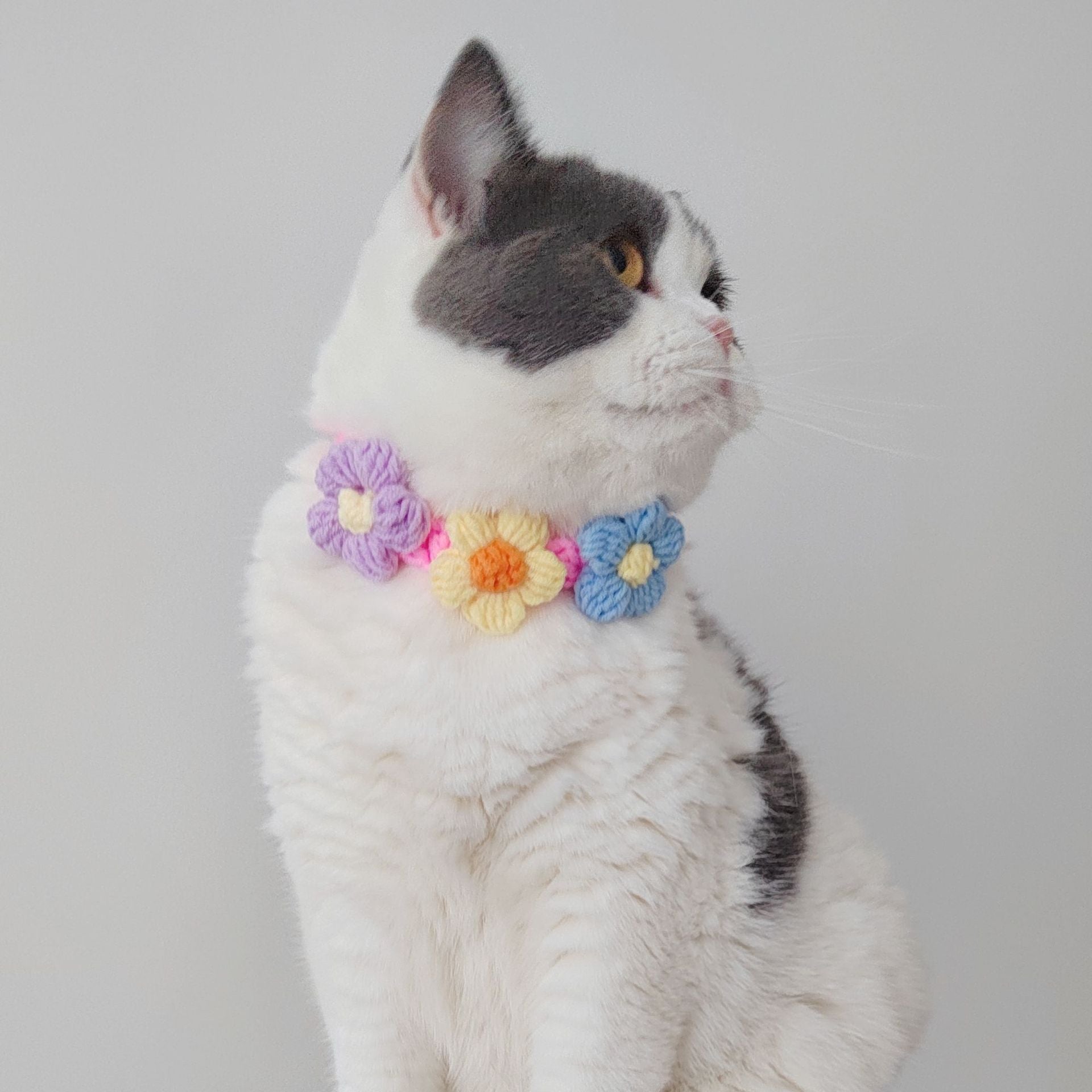 Handmade Crochet Flower Pet Collar – Soft Floral Design