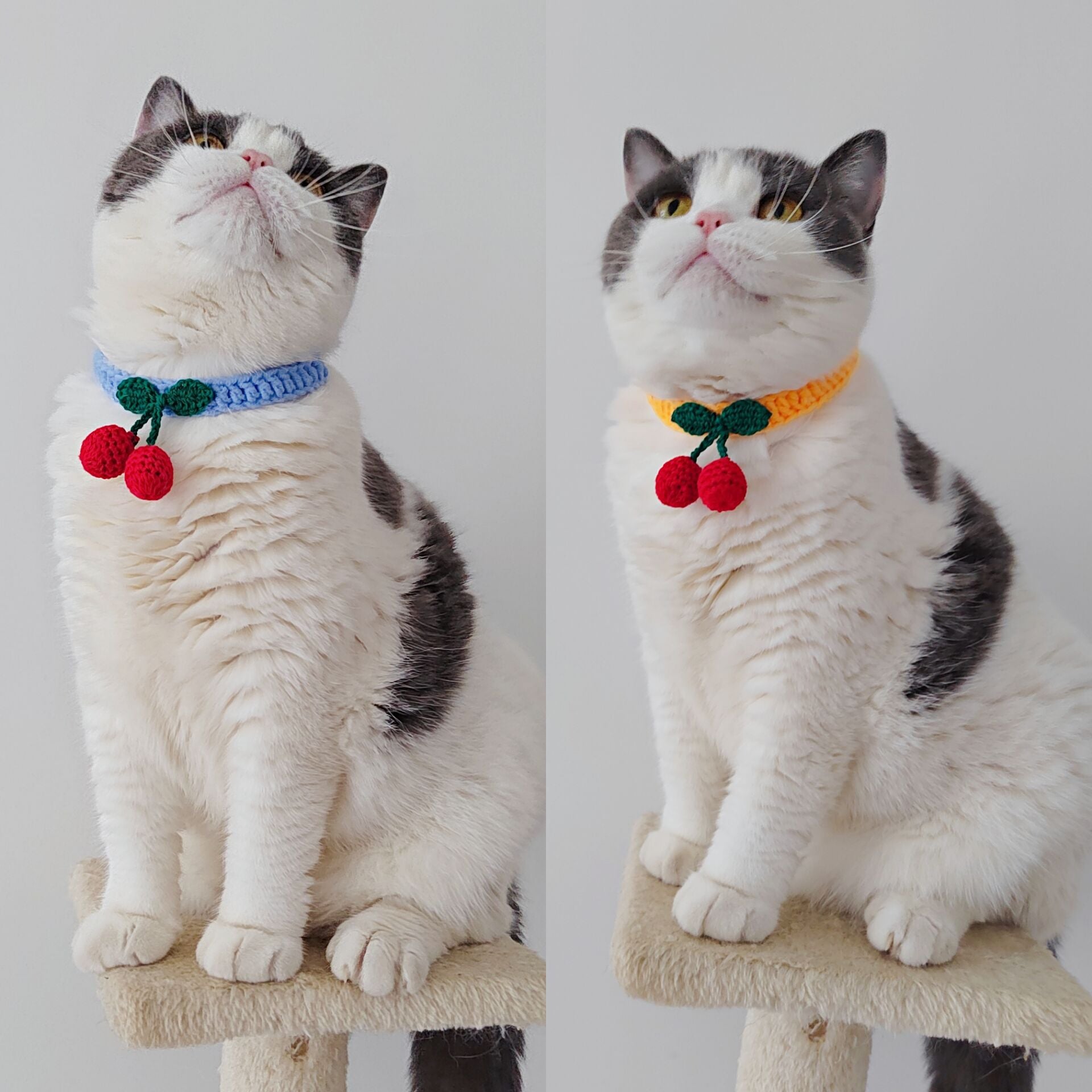 Cherry Crochet Pet Collar – Sweet & Playful Design