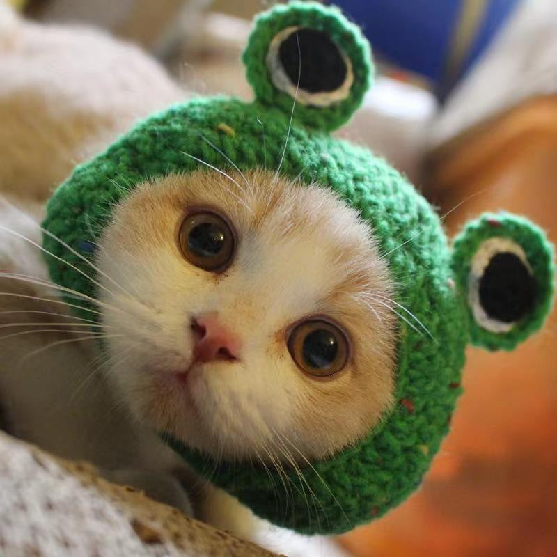 Cute Crochet Pet Collar Collection – Multiple Styles for Cats & Small Dogs