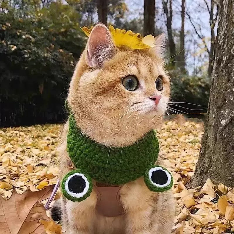 Cute Crochet Pet Collar Collection – Multiple Styles for Cats & Small Dogs