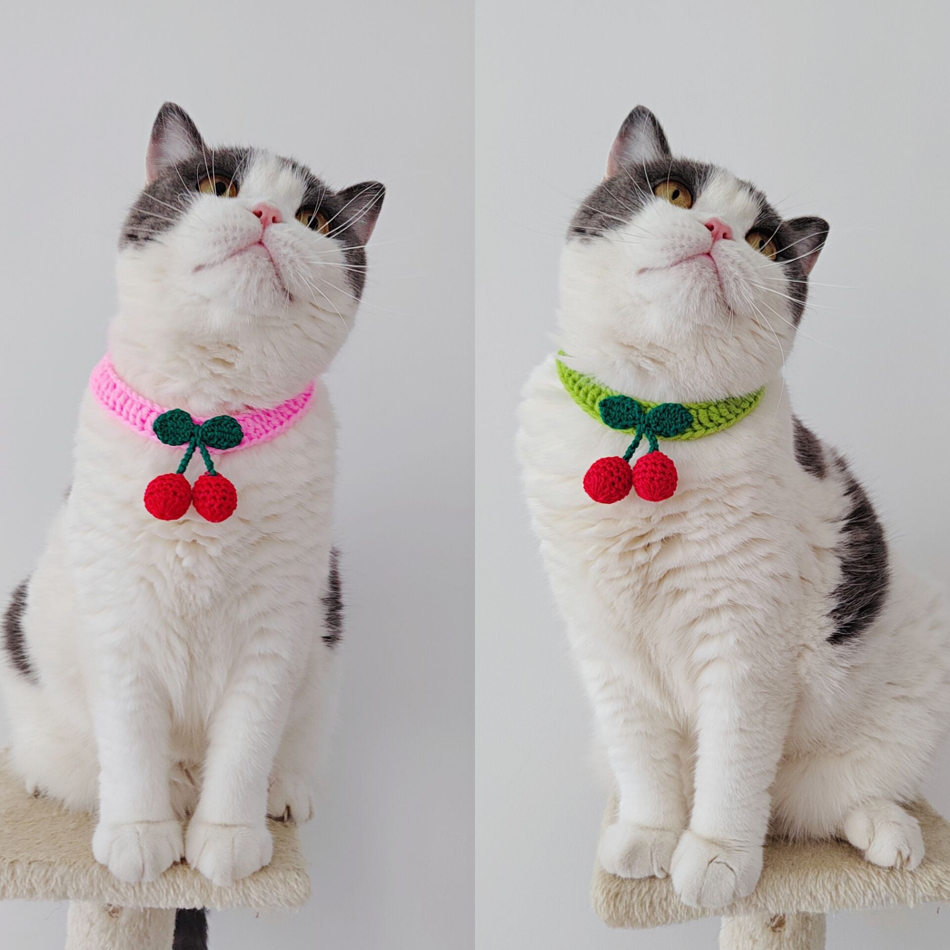 Cherry Crochet Pet Collar – Sweet & Playful Design