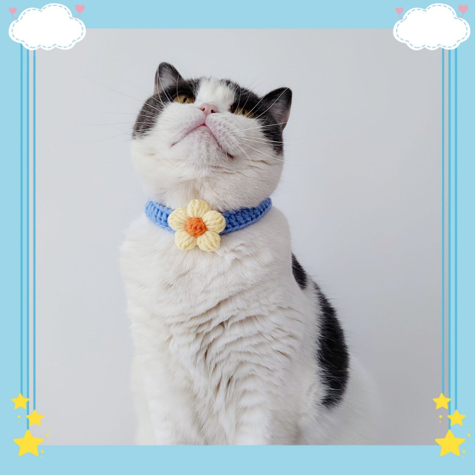 Minimal Flower Crochet Pet Collar – Cute Everyday Style