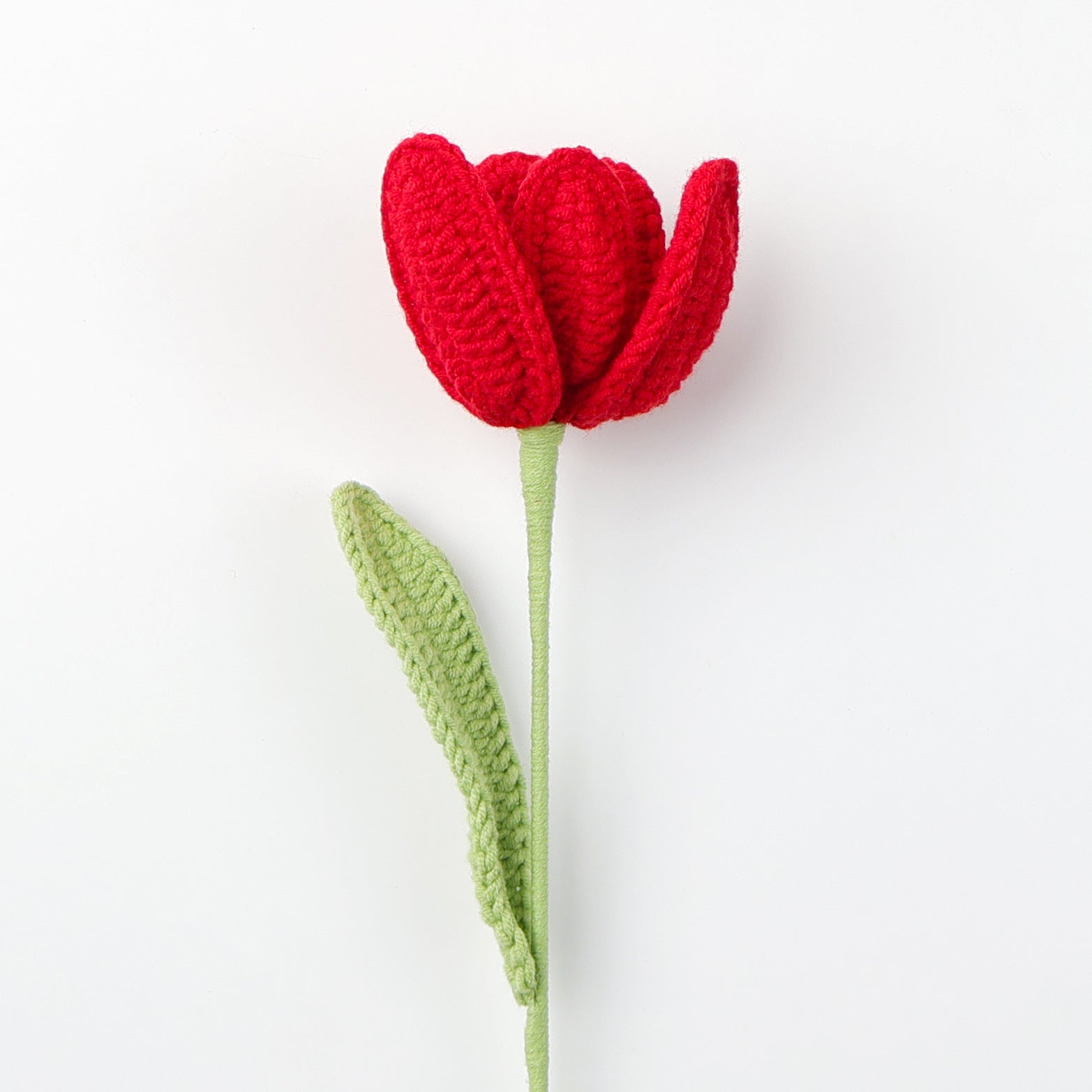 Tulip Soft & Timeless Floral Charm