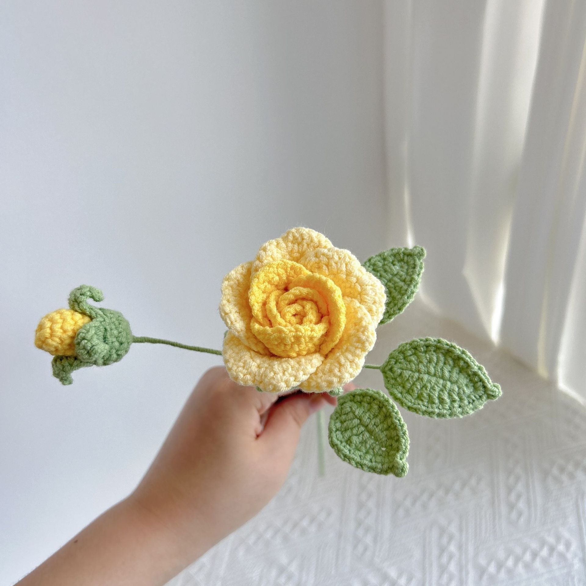 Climbing rose