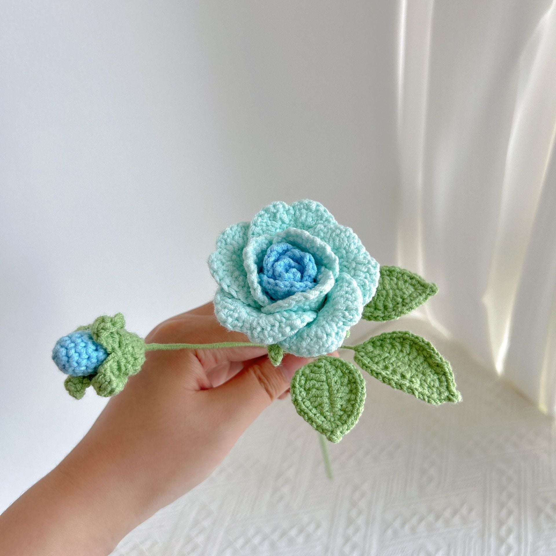 Climbing rose