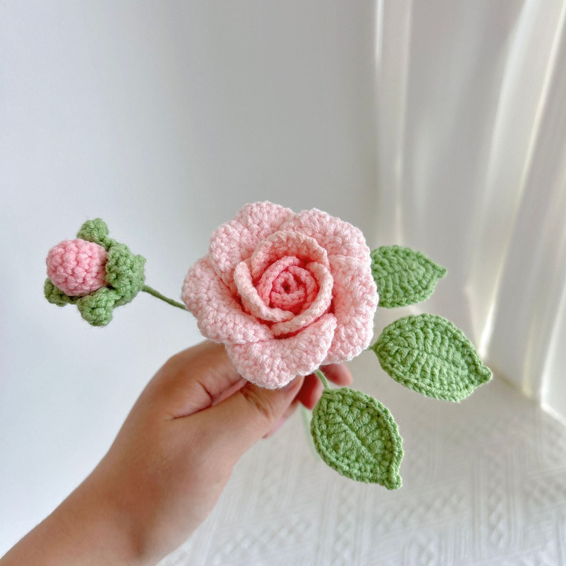Climbing rose