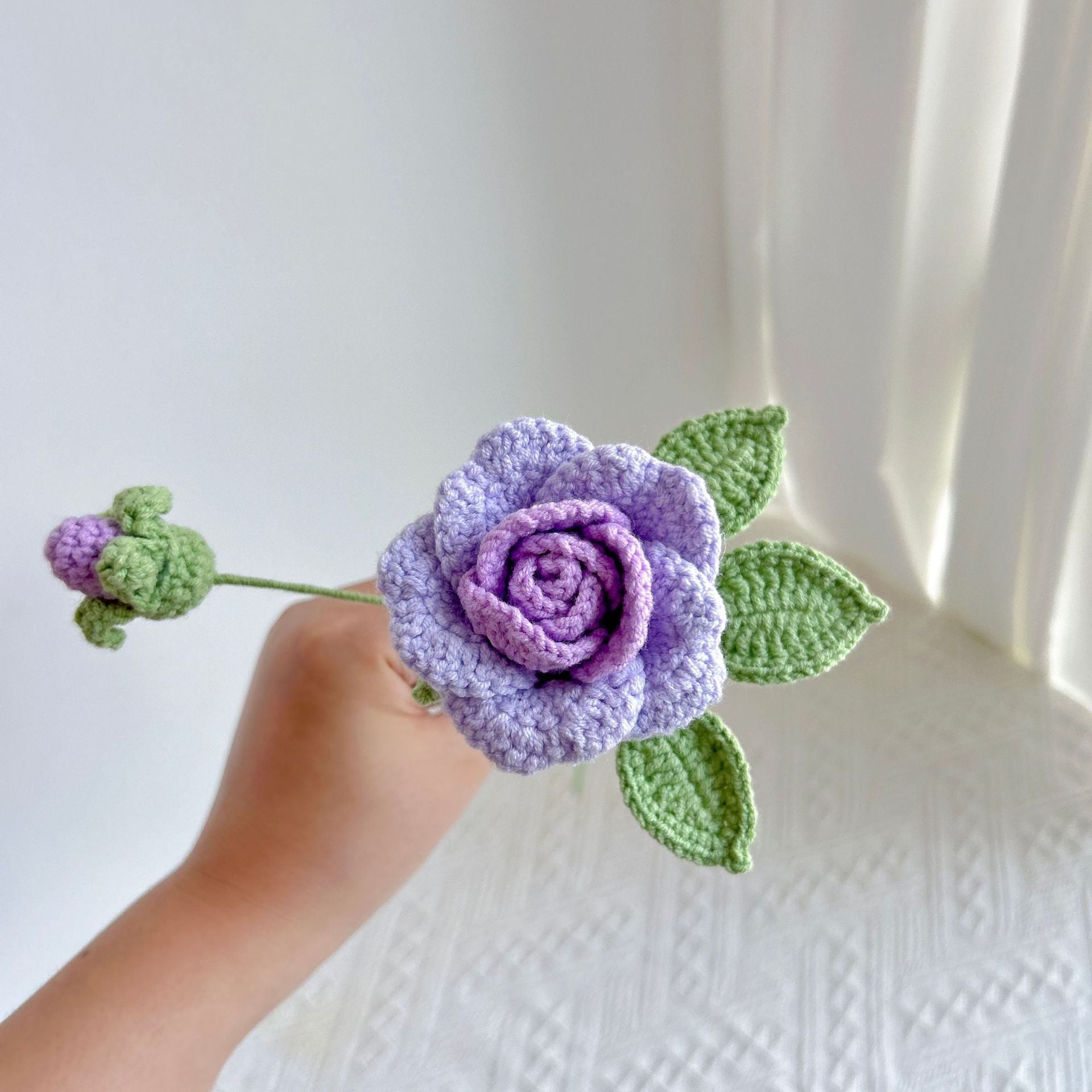 Climbing rose