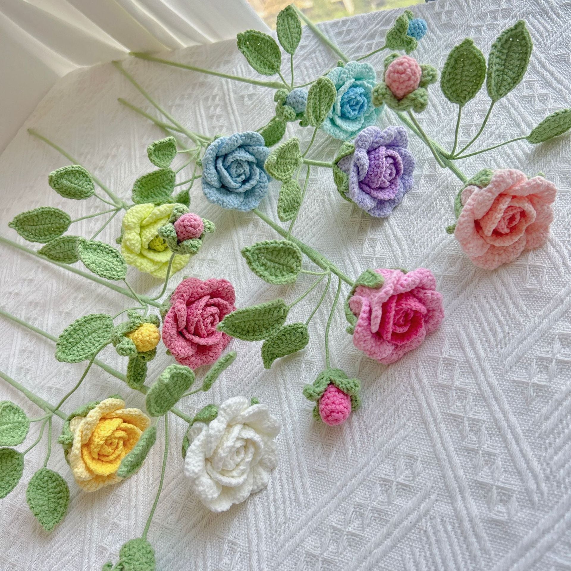 Climbing rose