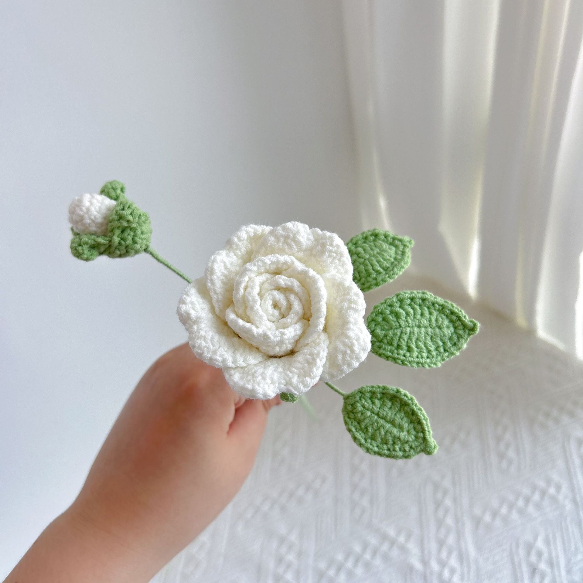 Climbing rose