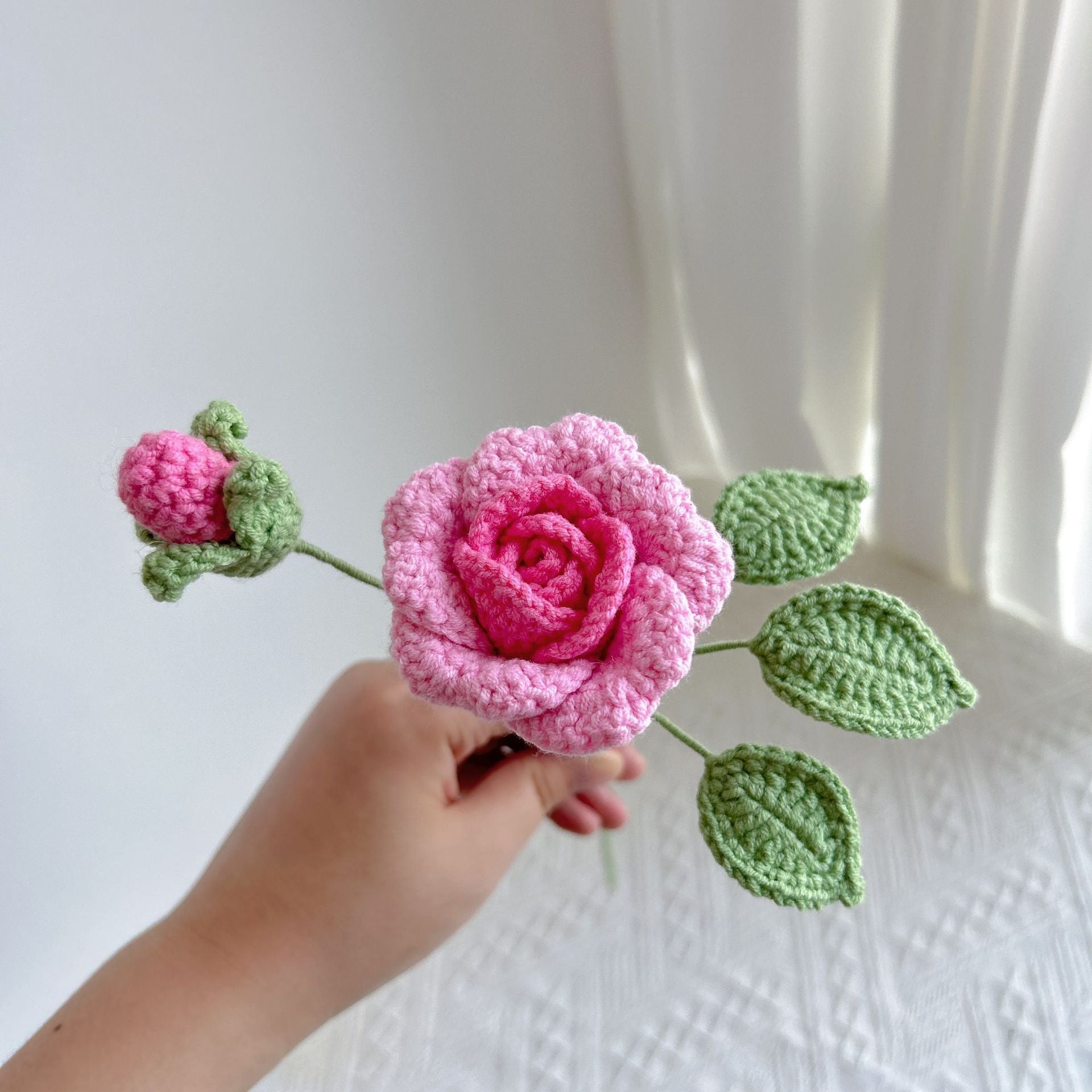 Climbing rose