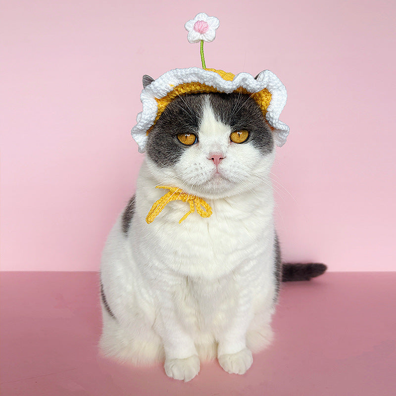 Flower Crochet Pet Hat – Cute Daisy Top Design
